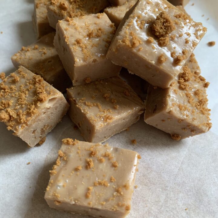 Easy to make Slow Cooker Biscoff Fudge recipe