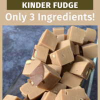 3 Ingredient slow cooker fudge