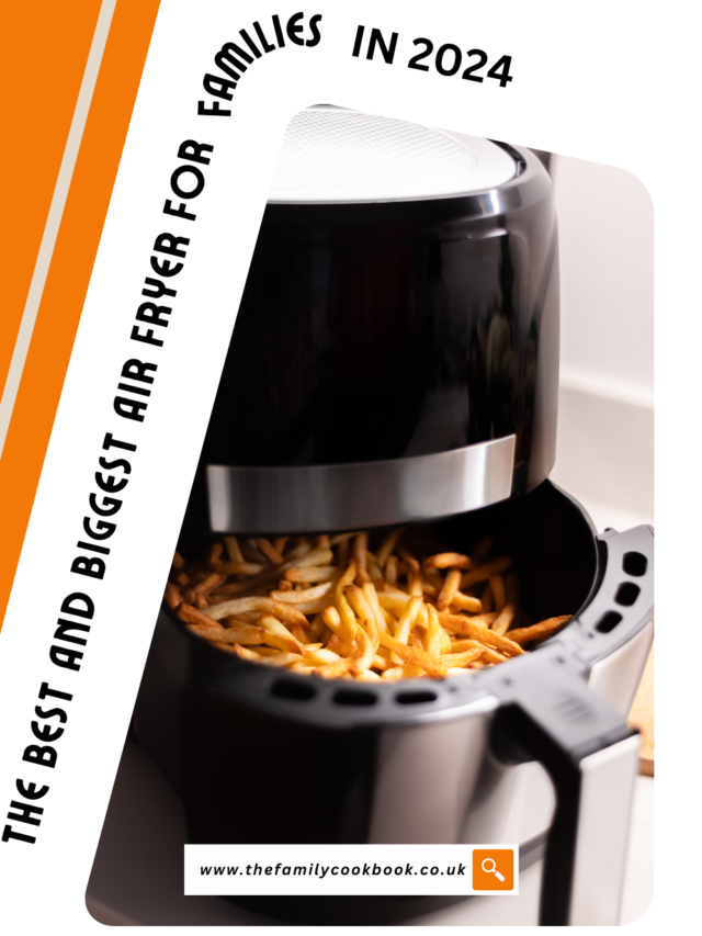 Biggest air fryer for families in 2024